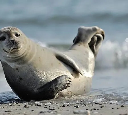 024 Hébergement de vacances *