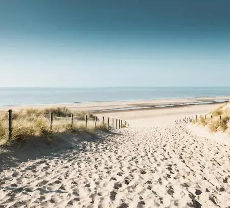 024 Petten